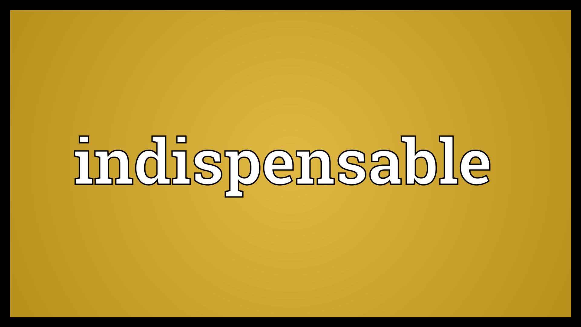 Indispensable Matchamakers – Adam